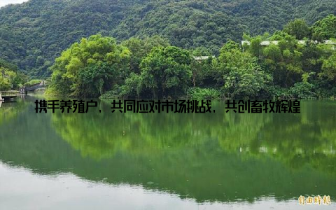 携手养殖户, 共同应对市场挑战, 共创畜牧辉煌 助力经销商, 提升竞争今日润农畜牧报价, 为经销商提供了丰富的市场信息