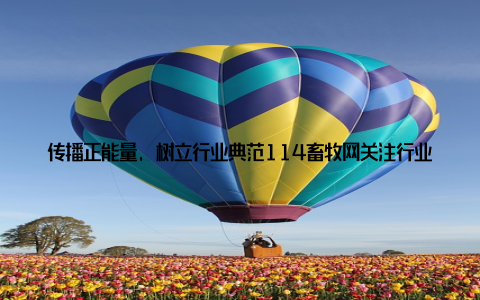 传播正能量, 树立行业典范114畜牧网关注行业正能量, 传播先进养殖技术和管理经验, 树立行业典范, 引领行业发展