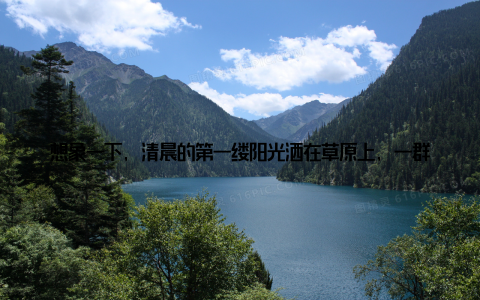想象一下, 清晨的第一缕阳光洒在草原上, 一群群骏马在悠闲地吃草, 远处牛羊成群, 那是北方地区畜牧业的真实写照