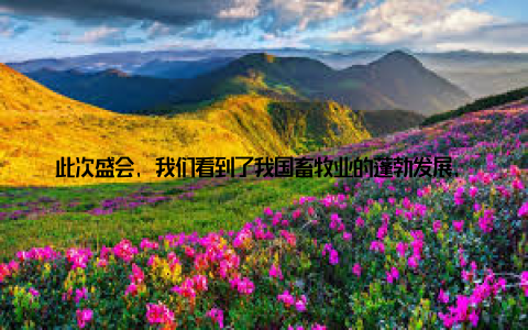 此次盛会, 我们看到了我国畜牧业的蓬勃发展, 也看到了畜牧强国梦正在逐步实现 2023, 哈尔滨畜牧产业博览会再启航岁月如歌, 时光荏苒023年, 哈尔滨畜牧产业博览会将继续盛大启幕, 为广大畜牧企业、农民和业界精英们提供一场畜牧界的盛宴