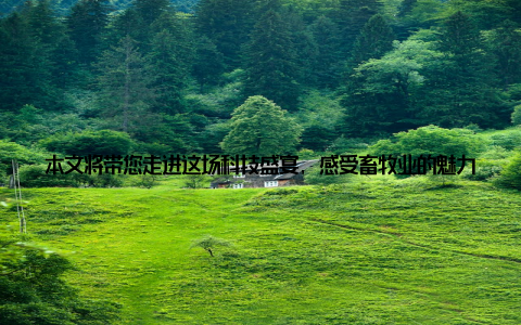 本文将带您走进这场科技盛宴, 感受畜牧业的魅力一、盛会盛况, 科技之光闪耀此次国际畜牧业展会吸引了众多国内外知名企业、科研机构和专业人士参展