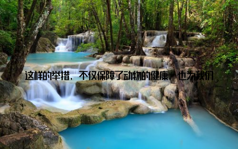 这样的举措, 不仅保障了动物的健康, 也为我们餐桌上的肉类产品提供了安全保障关键词丰城畜牧兽医, 疫苗接种除了在养殖场进行监管, 丰城畜牧兽医还会深入市场, 对销售环节进行严格把控