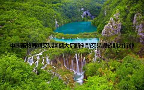 中国畜牧养殖交易网盛大启航创新交易模式助力行业发展, 共迎美好未来畜牧养殖新时代, 中国畜牧养殖交易网引领行业变在新时代的背景下, 我国畜牧养殖业正面临着转型升级的关键时期