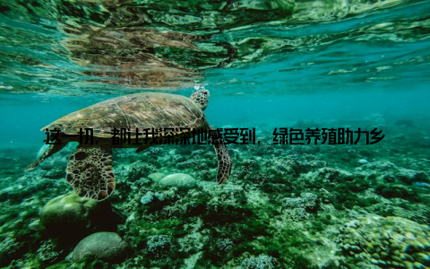 这一切, 都让我深深地感受到, 绿色养殖助力乡村振兴, 已经成为了我们共同的信念如今, 我已经成为哈尔滨现代畜牧产业的一名推广者