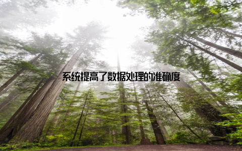 系统提高了数据处理的准确度