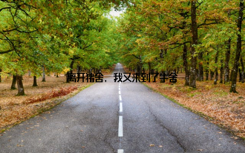 离开猪舍, 我又来到了牛舍