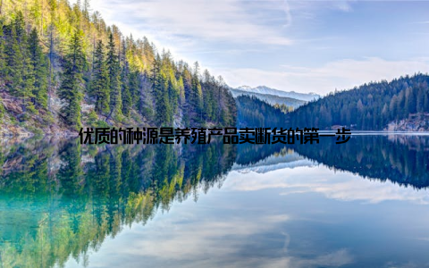 优质的种源是养殖产品卖断货的第一步