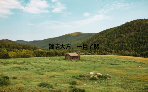 简洁大方, 一目了然