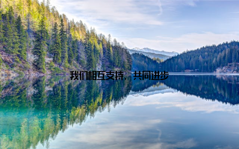 我们相互支持, 共同进步