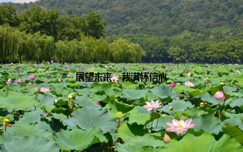 展望未来, 我满怀信心