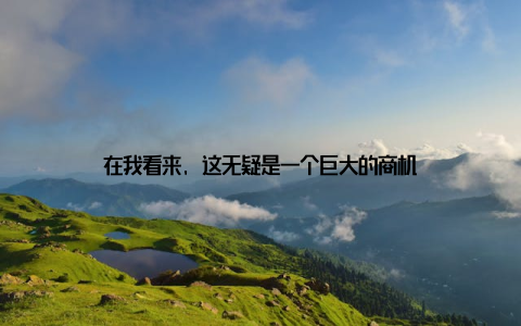 在我看来, 这无疑是一个巨大的商机