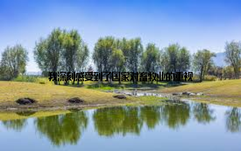 我深刻感受到了国家对畜牧业的重视