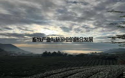 畜牧产业与旅游业的融合发展