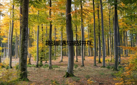 挑战机遇与挑战并存