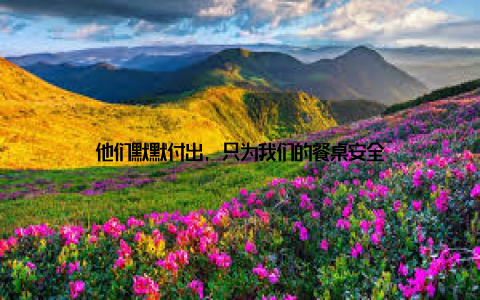 他们默默付出, 只为我们的餐桌安全