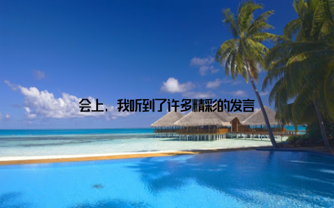 会上, 我听到了许多精彩的发言