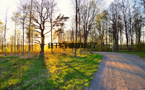 终于轮到咪咪就诊了