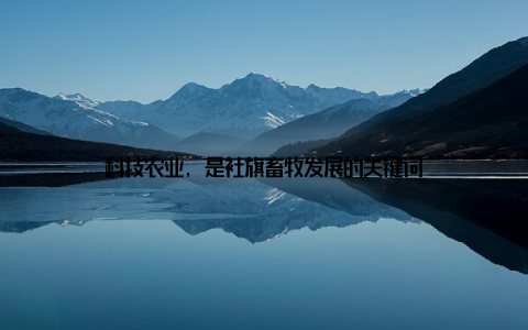 科技农业, 是社旗畜牧发展的关键词