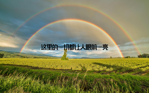 这里的一切都让人眼前一亮