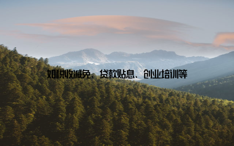 如税收减免、贷款贴息、创业培训等