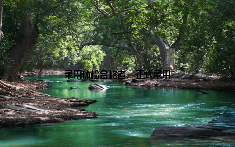 录用体检合格者, 正式录用