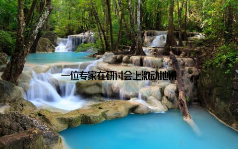 一位专家在研讨会上激动地说