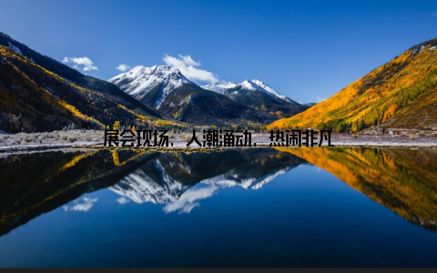 展会现场, 人潮涌动, 热闹非凡