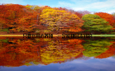 只要您用心养殖, 一定能赚回本钱的