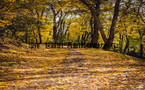 没错, 这就是巴西畜牧展的魅力所在