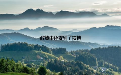 政策中还提到了扶持