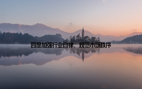 四是加强行业自律, 规范市场秩序