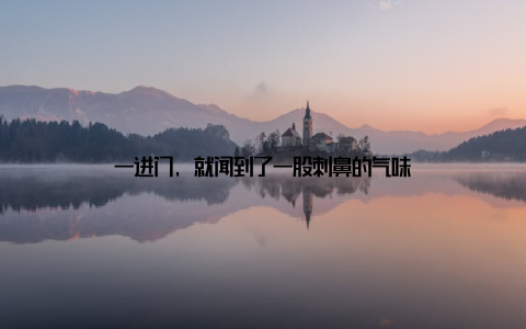 一进门, 就闻到了一股刺鼻的气味