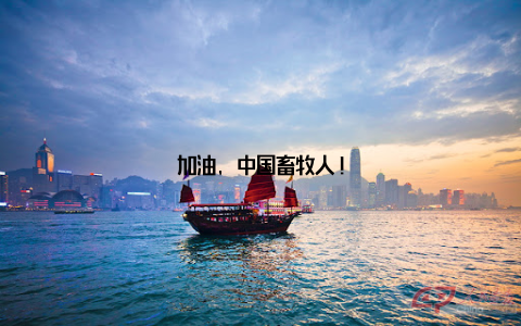 加油, 中国畜牧人!