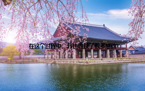 在这个过程中, 我也收获了很多感动