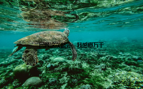 回顾这次盛会, 我感慨万千
