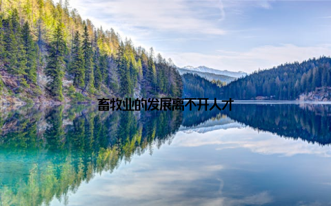 畜牧业的发展离不开人才