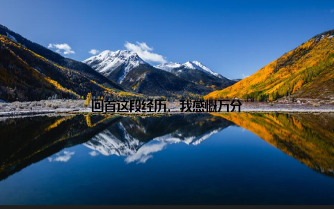 回首这段经历, 我感慨万分