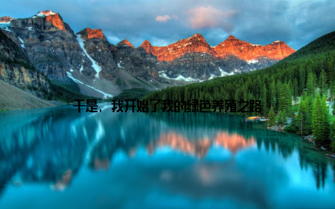 于是, 我开始了我的绿色养殖之路