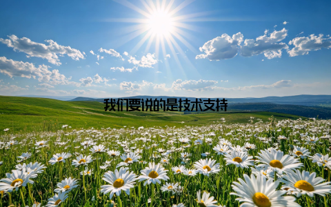 我们要说的是技术支持