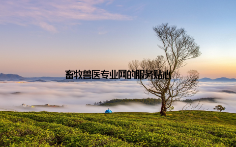 畜牧兽医专业网的服务贴心