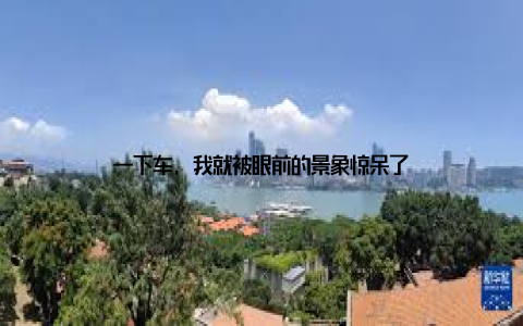 一下车, 我就被眼前的景象惊呆了