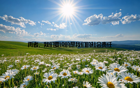 再者, 我们要说的是我们的社会责任