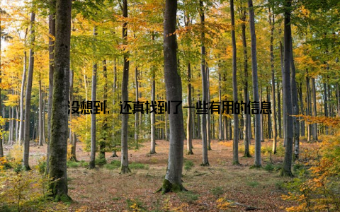 没想到, 还真找到了一些有用的信息
