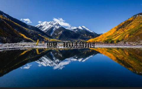 但是, 我从未放弃过