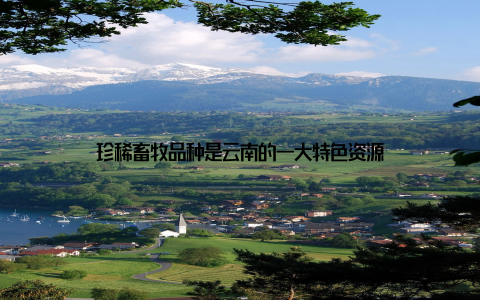 珍稀畜牧品种是云南的一大特色资源