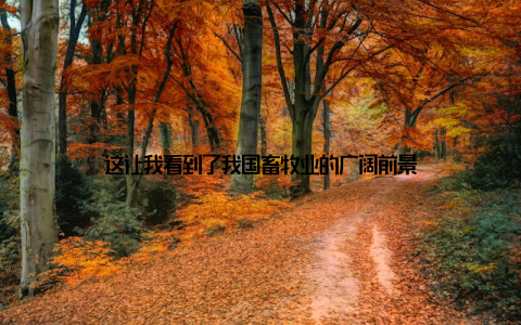 这让我看到了我国畜牧业的广阔前景