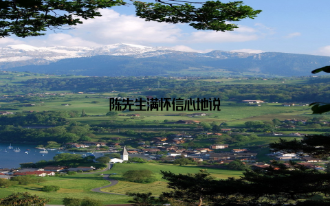 陈先生满怀信心地说