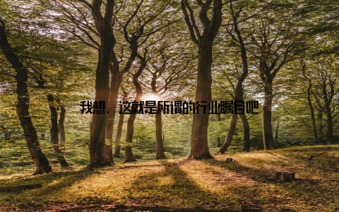 我想, 这就是所谓的行业瞩目吧