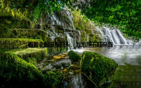 看着老板低垂的头, 我心里五味杂陈