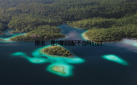 原来, 是饲料搭配不当导致的